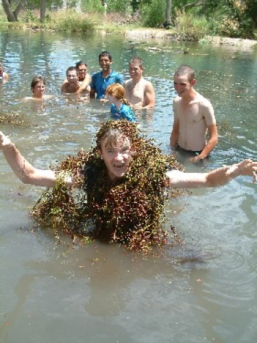 Who ever knew that the Swamp Thing lived in Nevada?