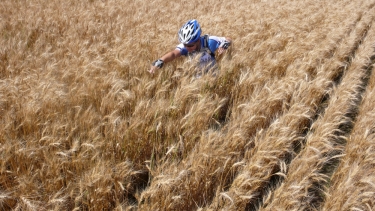 Sarah swims in the sea of wavin' wheat.